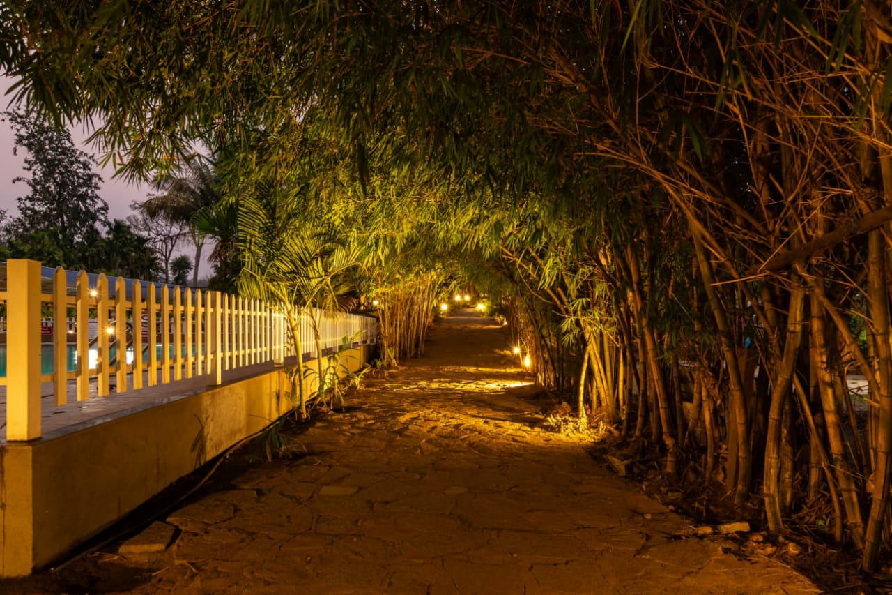 Green walkway at Taj Adventures Dandeli